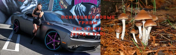 бошки Кулебаки