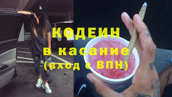 ГАЛЛЮЦИНОГЕННЫЕ ГРИБЫ Кукмор