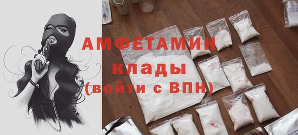 ГАЛЛЮЦИНОГЕННЫЕ ГРИБЫ Кукмор