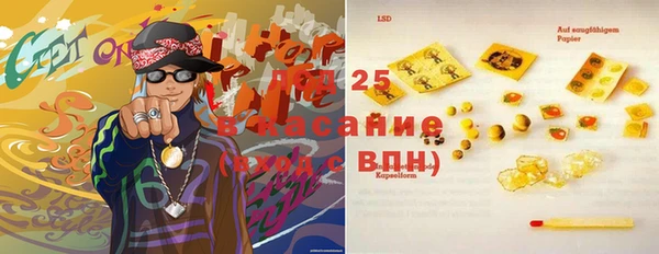 ГАЛЛЮЦИНОГЕННЫЕ ГРИБЫ Кукмор