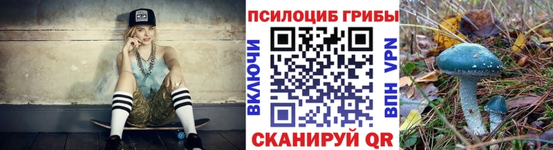Псилоцибиновые грибы Cubensis  Купить закладки  Бакал 